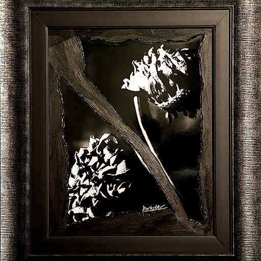 DarkstAr Fine Art Photography